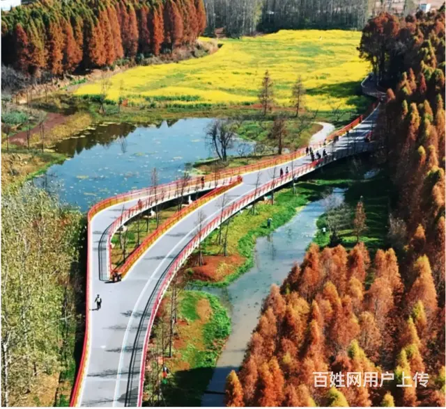 滇池绿道骑行，赴一场风与湖的浪漫之约 - 图片 2