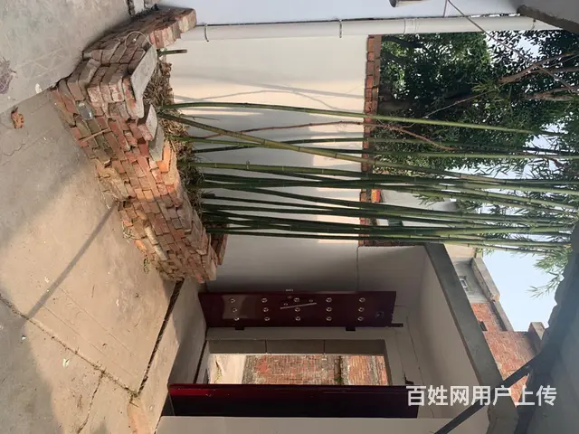 个人房屋出租 - 图片 4