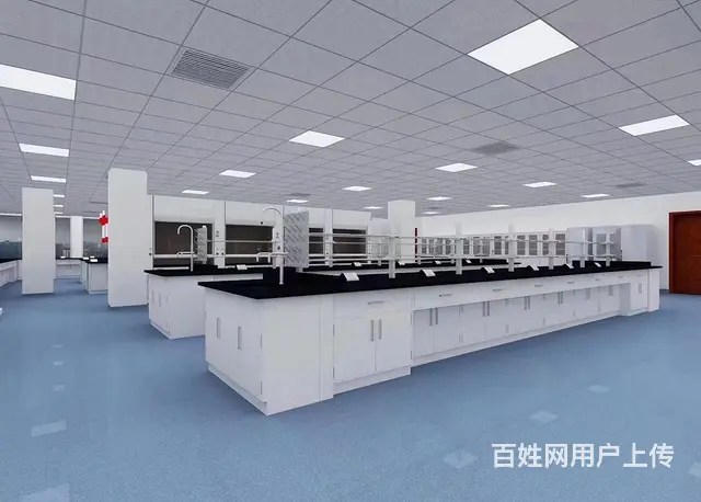 钢木边台中央台化学操作台不锈钢洁净台通风柜 - 图片 3