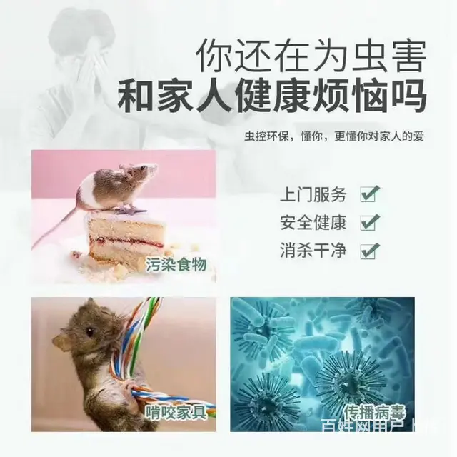 专业除甲醛，灭四害 - 图片 1