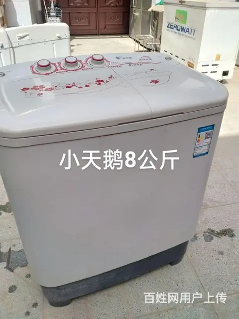 小天鹅8公斤 - 图片