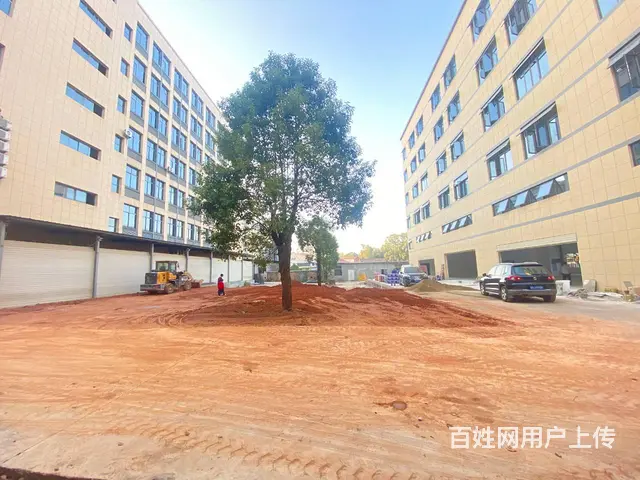 （房东直租）浏阳淳口镇大型商铺，厂房，仓库招租，可分租 - 图片 3