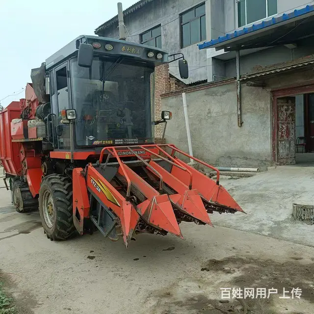 21泰利农王 - 图片 3