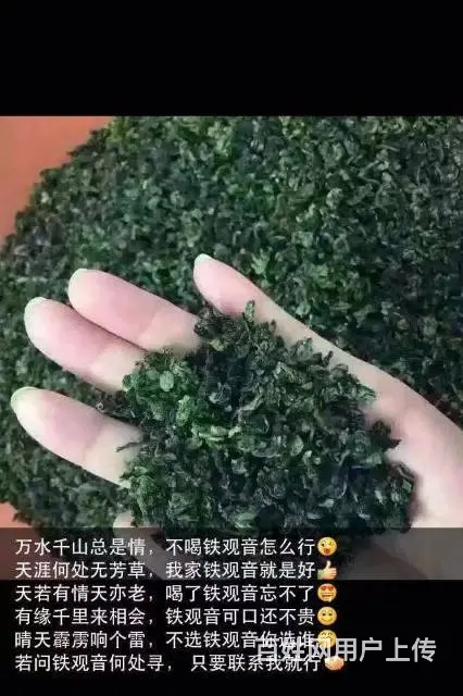 铁观音茶叶浓香型清香型礼盒装高山特级兰花香特级 - 图片 1
