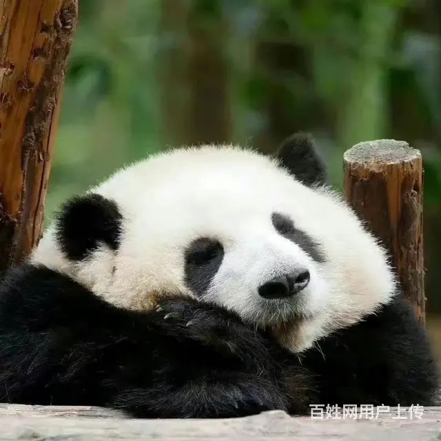 生生不息   股市合作。分成3成 - 图片