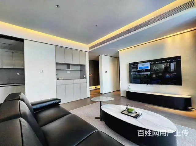 武昌滨江观江豪宅 长江中心3房2卫 邻近万象城绿地 - 图片 4