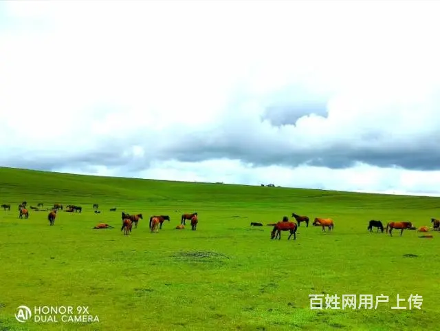 呼伦贝尔品质服务包车师傅排名满洲里包车价格 - 图片 6