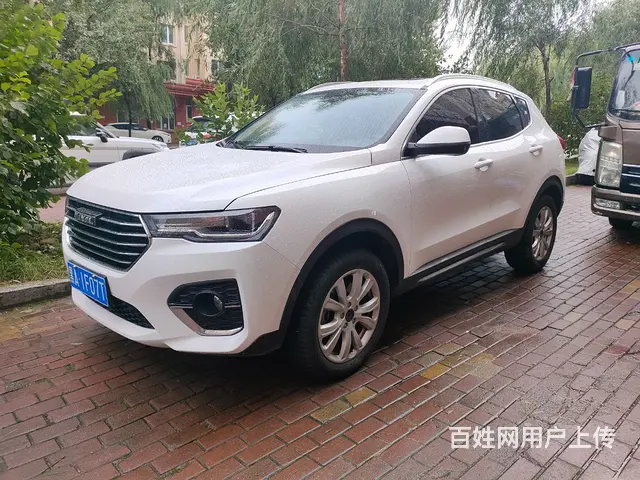 哈弗H4 2019款 1.5GDIT 双离合 超豪智联版蓝标 - 图片 2