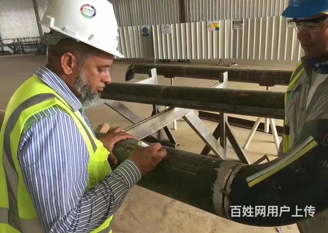 出国劳务加拿大高薪招聘油漆工面点师维修工年薪50万 - 图片 2