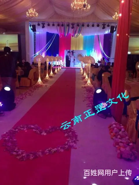 婚礼策划、场地布置、灯光音响、花艺、主持、演出表演 - 图片 12