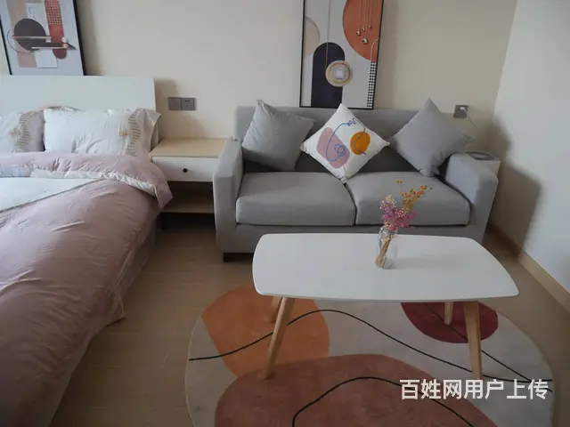 常州新北租房 龙虎塘街道  直租 押一付一 可短租 拎包入住 - 图片 3