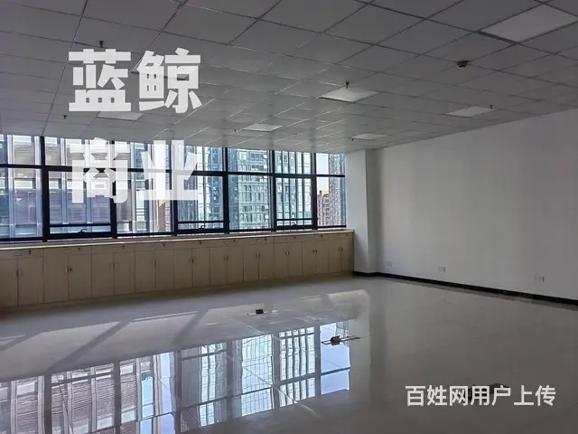 绿地商务城蓝海60到300平拎包办公 - 图片 9