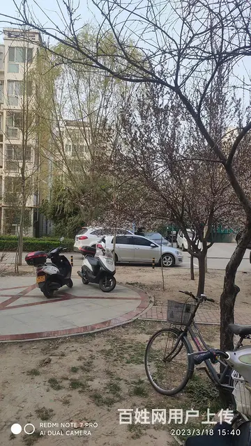 天合苑 普通住宅 简单装修 - 图片 6