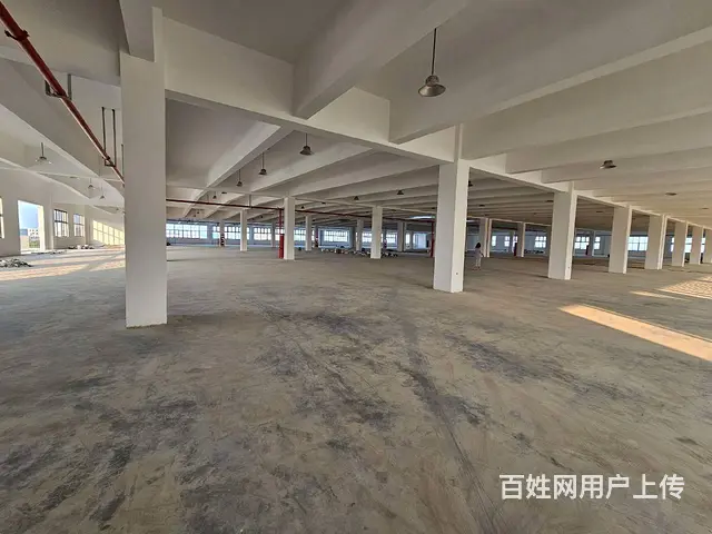 支塘独栋全新1至3楼每层6000平，高12米，可架20吨行车 - 图片 2