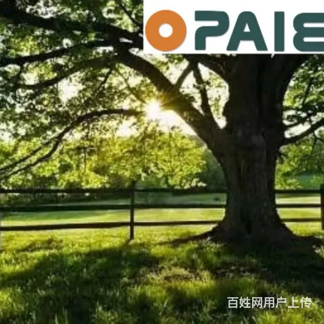 销售经理 - 图片