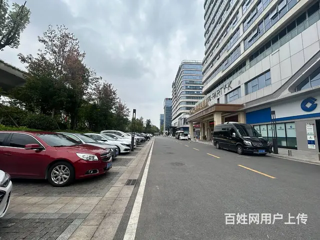 （老板本人）湘域国际广场临街商业综合体招租6842 - 图片 4