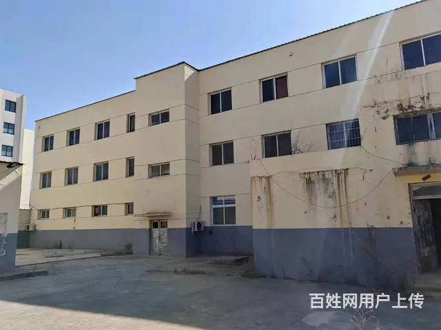 东港镇中心庄办公楼厂房整体出租 - 图片 10