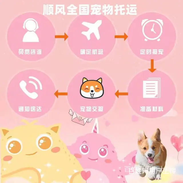 20022推荐）常州市到全国）宠物托运（猫狗）邮寄快递（宠物 - 图片 2