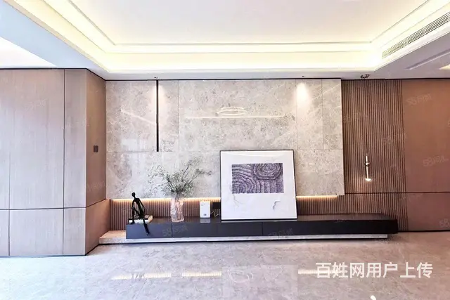 享受员工价，只有4套！只有4套！先到先得 - 图片 2