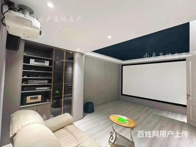 外滩首 府下叠 一带二挑空客厅 现代轻奢 带花园双车位 - 图片 12