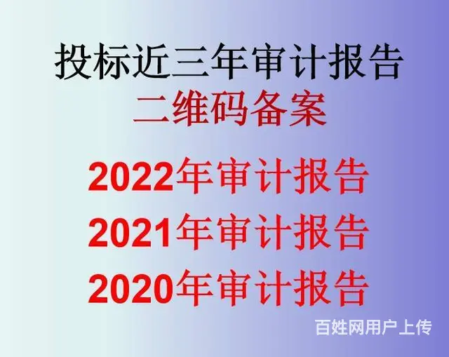 四表一注投标审计报告，500起先办理后付款 - 图片 2