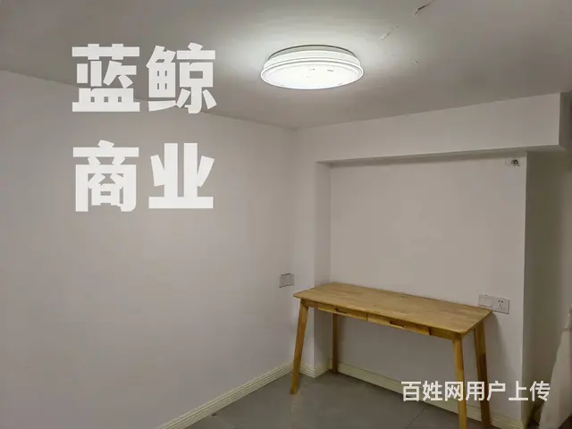 绿地商务城领海 普通住宅1厅 精装修 - 图片 3
