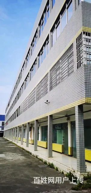 金湾花园式厂房出售：42亩，厂房办公、宿舍，食堂优 - 图片 4
