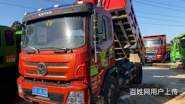 大量蓝牌自卸车 - 图片 3