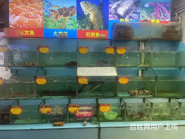 （51旺铺推荐）世贸南路炮台300平三回头海鲜大排档转让 - 图片 4