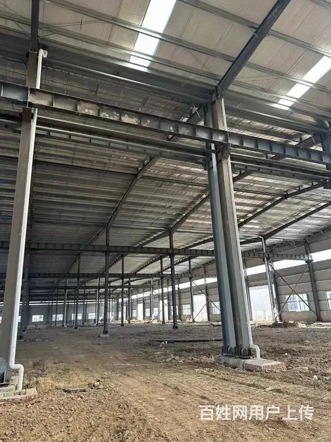 （城市在线找房免费）大彭工业园标准钢结构厂房出租（出售） - 图片 6