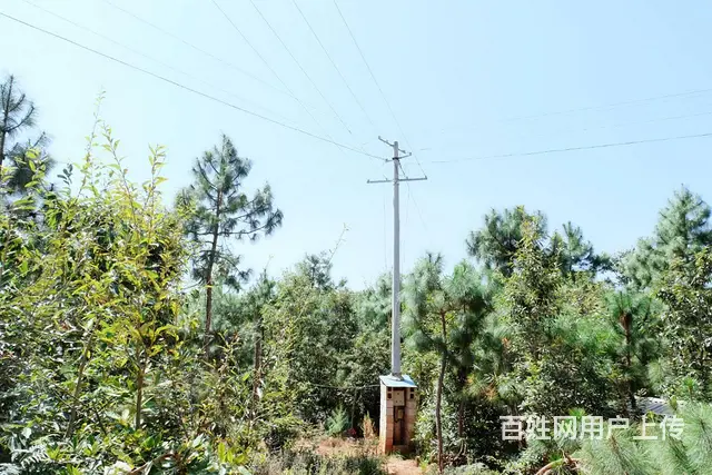 4800（商客网）楚雄武定2000亩大型农庄转让 - 图片 8