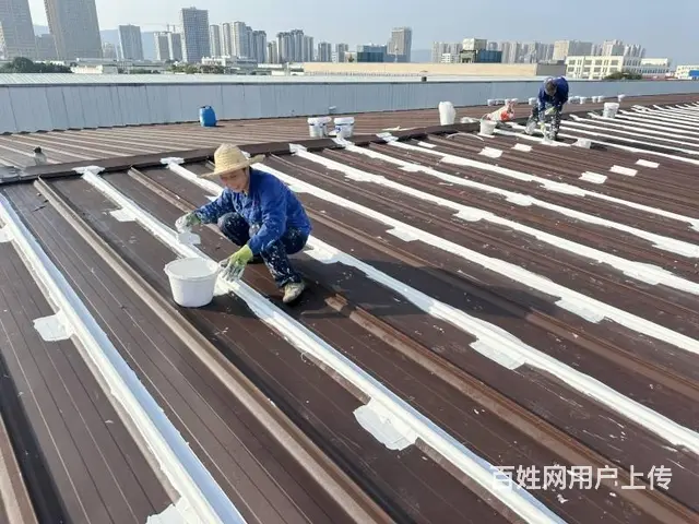 成都蜀禹防水：屋顶防水补漏专家，守护屋面滴水不漏 - 图片 9
