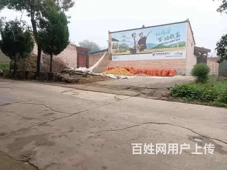 河南中粮福临门墙体广告墙面广告 布局乡镇乡村 - 图片 1