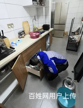 商丘灭蚊蝇灭跳瘙专业提供除蚊蝇公司 - 图片 2
