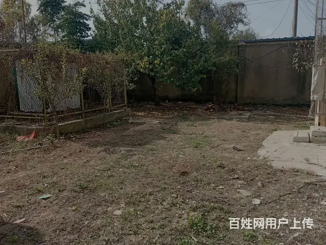 九龙新村西区一楼出租 - 图片 8