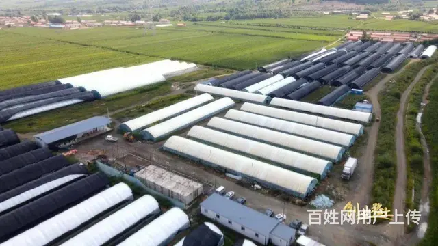 沅陵到长沙网约车拼车电话 长沙到沅陵黑车商务车 - 图片