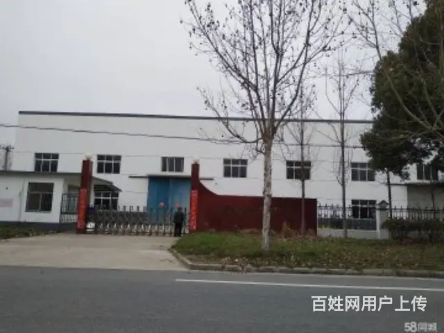 姜堰区白米镇2千平厂房出租可分租 - 图片 1