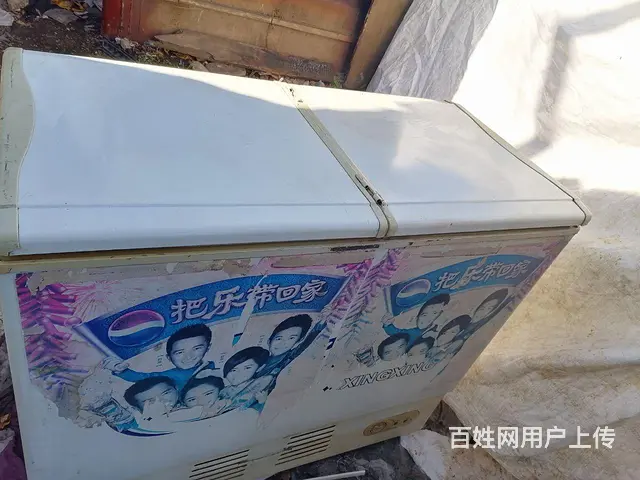 双人床，大沙发，冰箱，冰柜，餐桌 - 图片 3