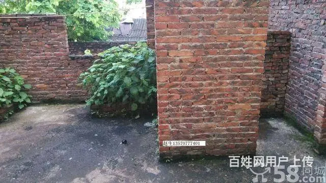沃尔玛超市旁第二拖拉机厂 二房一厅 可停车 - 图片 7
