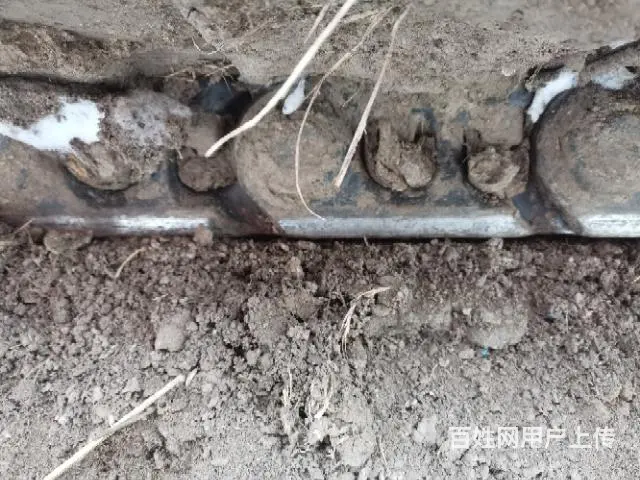 视频中 小油门 - 图片 2