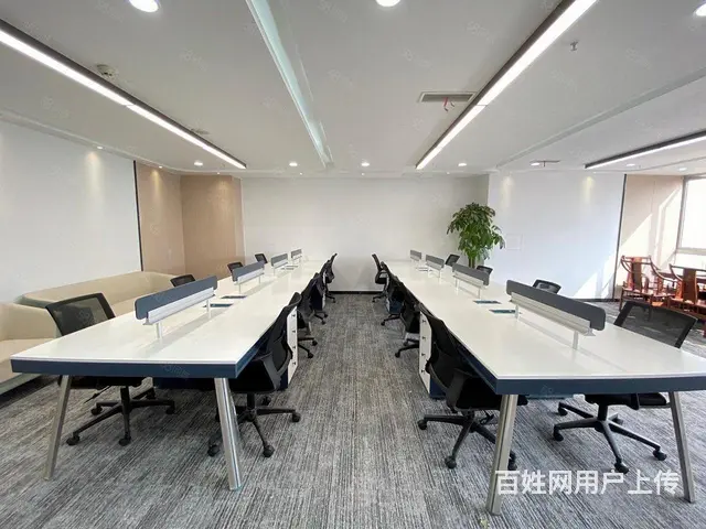 西工核心地段！建业凯旋广场商务楼180平精装修，多套可选 - 图片 7