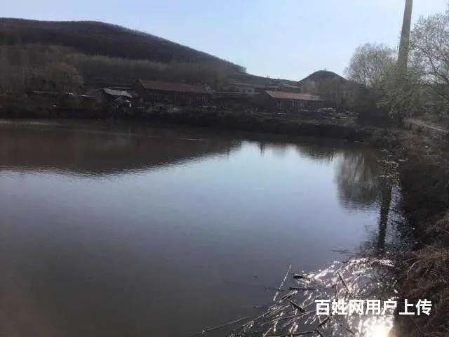 胜利林场鱼塘山庄出售 - 图片 7