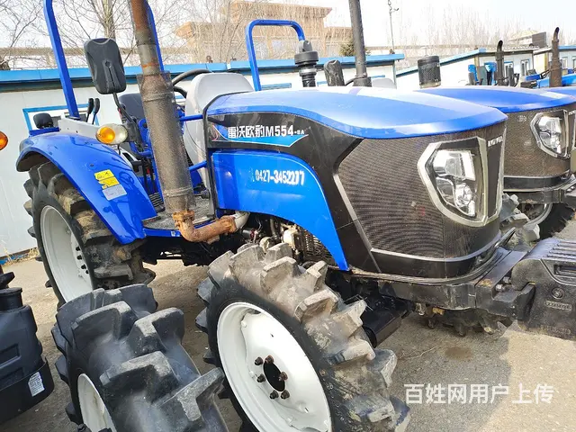 福田55418年大高花 - 图片 1