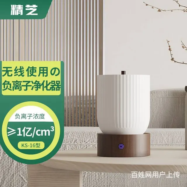 无线+多功能 精芝强势打造 实用的还原离子仪 - 图片 7