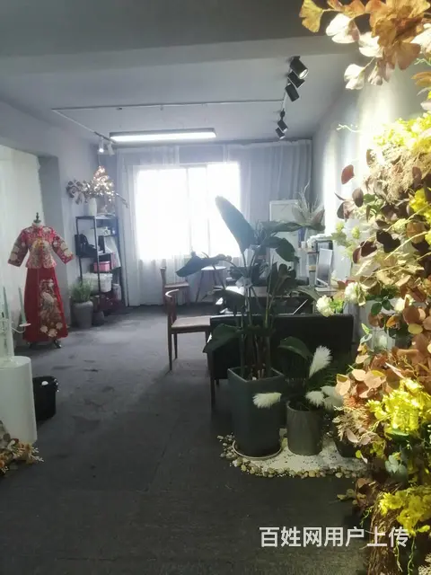 香港路盛邦帝标B栋--9-29 商住两用 简单装修 - 图片 7