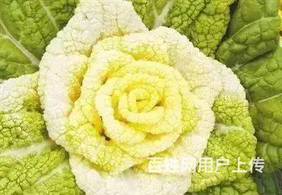 沅江到长沙拼车电话，商务车小车队电话 - 图片