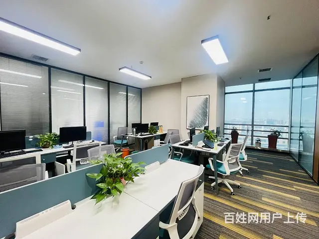 袁家岭市中心，精装带家具，户型带老板间，年底特价，一价全包 - 图片 5