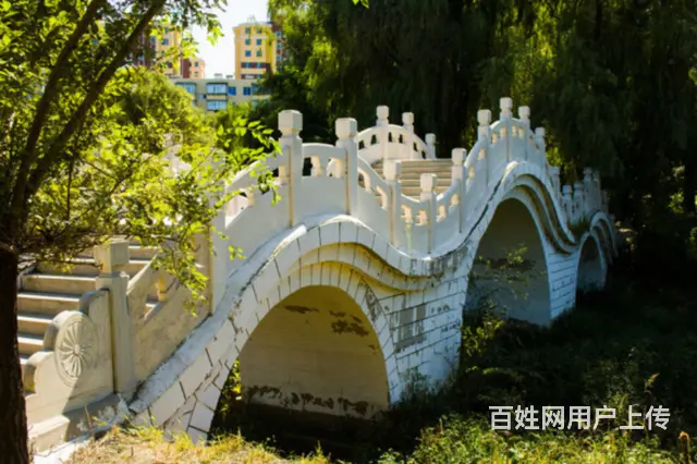 石拱桥|景观石雕桥汉白玉石雕 - 图片 3
