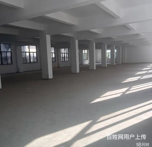 火炬园马垅4层3600平可分割 - 图片 3