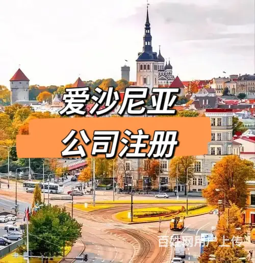 爱沙尼亚的税收优惠政策有哪些 - 图片